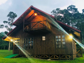 Cabaña rodeada de naturaleza en San Carlos
